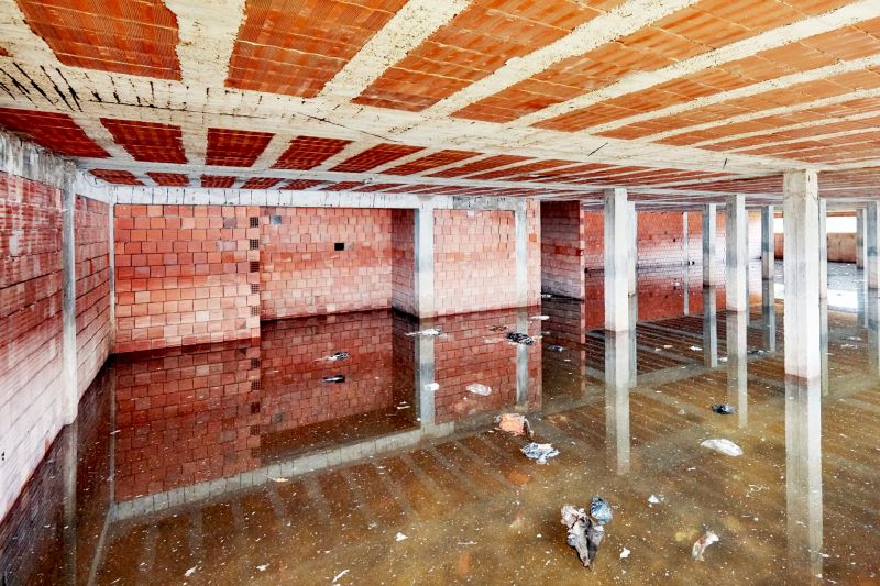 Crawlspace Water Restoration detail