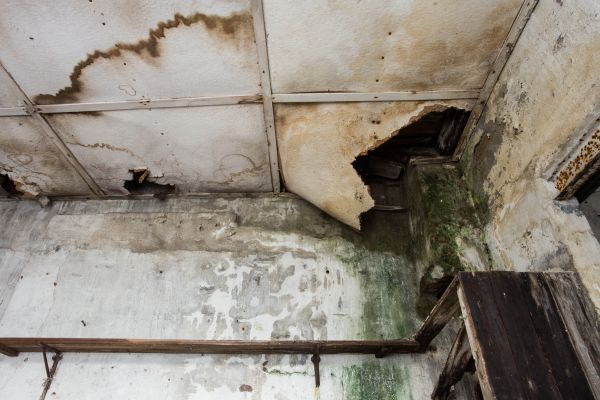 Water Damage Service in Fayetteville