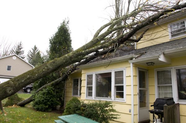 Hurricane Damage Repair in Fayetteville